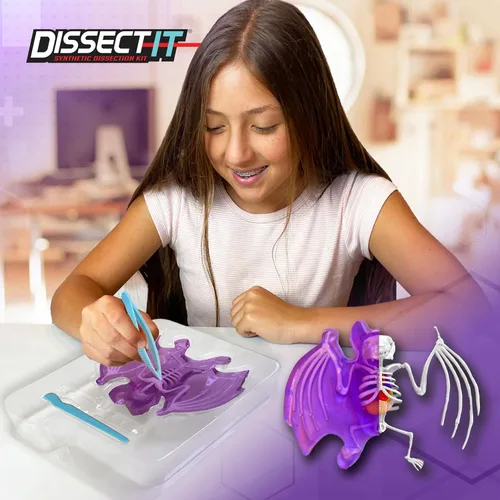 Vista 2 de Dissect-It Juguete de Disección de Laboratorio Sintético Simulado, Proyectos STEM para Niños, Ciencia Animal, Biología y Anatomía Kit de Aprendizaje