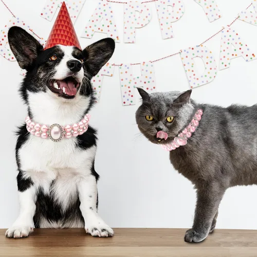 Vista 4 de KUDES Collares de perlas grandes para perros pequeños y gatos con decoración de diamantes de imitación de cristal, collar ajustable de piel
