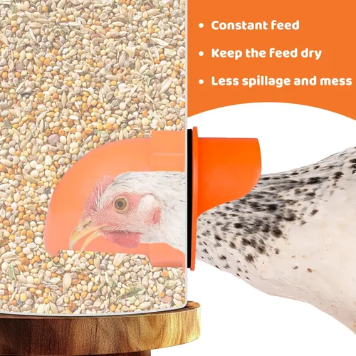 Vista 4 de Alimentador automático de pollos sin desperdicios, alimentador automático de aves de corral, juego de comedero y bebedero de pollos para bricolaje