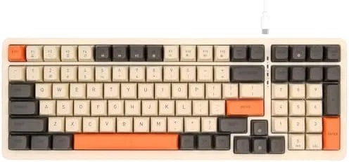 Rii RK909 Wired Mechanical Gaming Keyboard, Blue Switches, 100 Keys, 20 Modes LED Backlighting,Keyboard for PC GamersMacWindowsChromeLinux