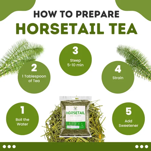 Vista 6 de Herbalista Nature - Té de cola de caballo suelto prémium (4 onzas, 3.99 oz), té de hierbas 100% natural de cola de caballo, hierba para afeitar