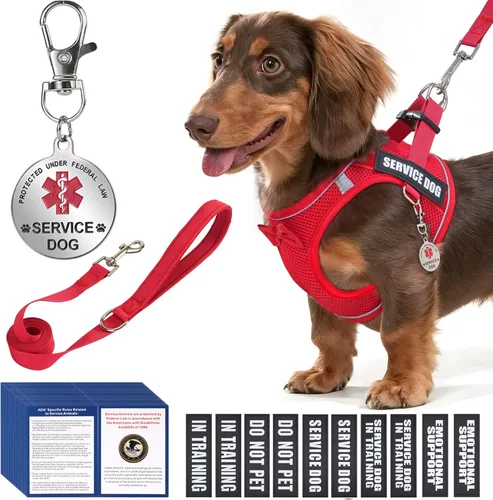 Arnés de chaleco de servicio para perros de raza pequeña con etiqueta de identificación, 50 tarjetas ADA, 10 parches extraíbles, arnés de apoyo