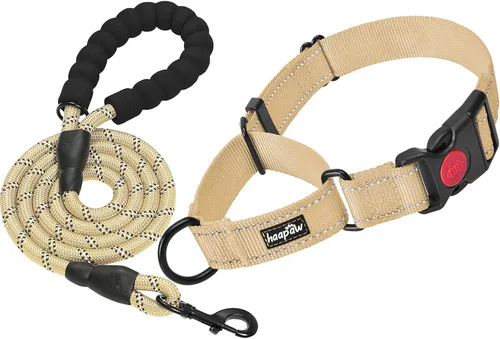 haapaw Paquete de 2 collares de perro Martingale con hebilla de liberación rápida reflectantes, collares de entrenamiento para perros pequeños,