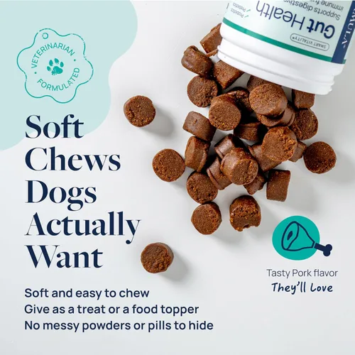 Vista 5 de Veterinary Formula Suplemento de salud intestinal para perros - Masticables probióticos formulados por veterinarios con enzimas digestivas y fibra