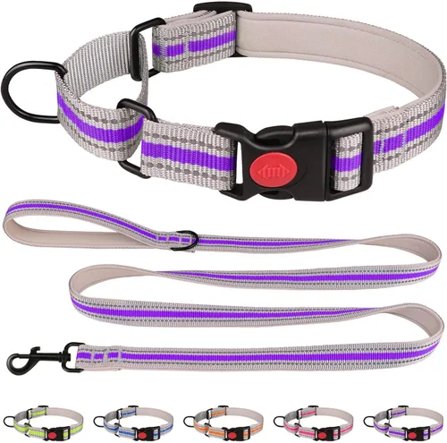 Vista 8 de Collar Martingala para perros, juego de collar y correa Martingala reflectante acolchado de neopreno suave con hebilla de seguridad, collar Azul