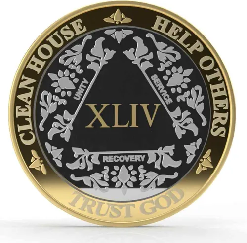 Vista 13 de Silver & Gold - Medallón de Alcohólicos Anónimos de 1 a 60 años (10 años (X)) Cápsula AA incluida