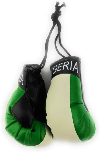 Vista 39 de Mini Guantes de Boxeo Colgantes para Espejo de Coche (Argentina)