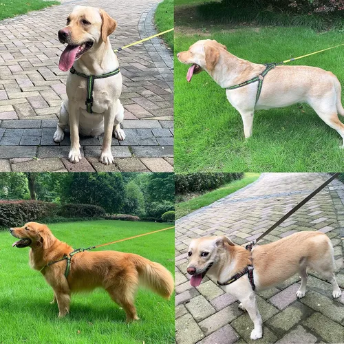 Vista 5 de Arnés para perro sin tirones con reflectante ajustable, evita que las mascotas tiren y se asfixien en los paseos, Perros medianos, (Negro, L)