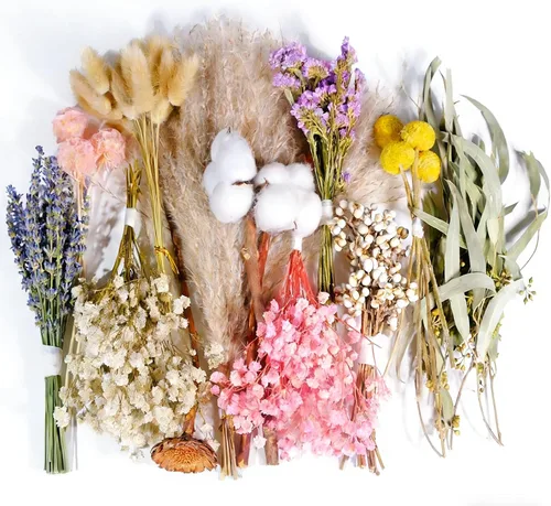 Juego de 12 tipos de flores secas naturales, flores secas a granel para jarrón, mini ramos de flores secas, flores secas con tallos para Serie
