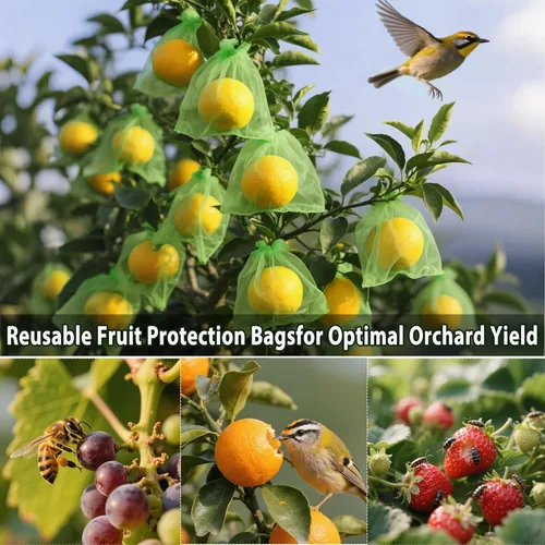 Vista 5 de 100 bolsas reutilizables de protección de frutas de 3 tamaños con cordón, bolsas de red de jardín para mantener la fruta de insectos, pájaros y Verde