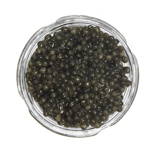 Royal Amber Siberian Caviar - Huevas de esturión Baerii - Dinastía Cru (1 onza (0.99 oz))