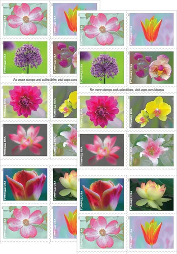 Vista 2 de Libro de sellos postales Forever de USPS Garden Beauty de 20 autoadhesivos de primera clase para bodas, celebraciones, aniversarios, flores
