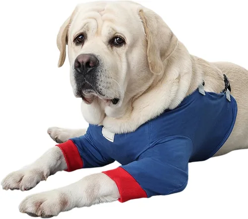 Vista 11 de Adjustable Dog Elbow Pads - Soft Washable Leg Protection, Anti-Licking Wound with Secure Strap, Knee Wrap with Breathable Material, Pet Bandage