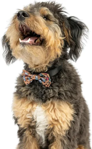 Vista 5 de Huxley & Kent Pajarita para mascotas para perros y gatos – Accesorio ajustable para collar de gancho y velcro – Lindo y cómodo para vacaciones
