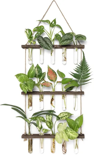 Vista 9 de Mkono Terrario para colgar en la pared de 3 niveles con soporte de madera, maceta de vidrio para corte de plantas hidropónicas, decoración