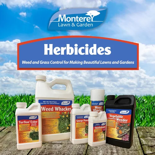 Vista 5 de Monterey Thistledown incluido con cuchara medidora, concentrado de control de cardo y trébol herbicidas, 8 onzas
