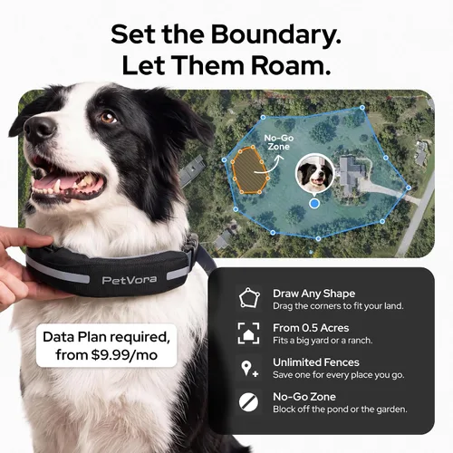 Vista 2 de Collar inteligente GPS para perro, seguimiento en tiempo real