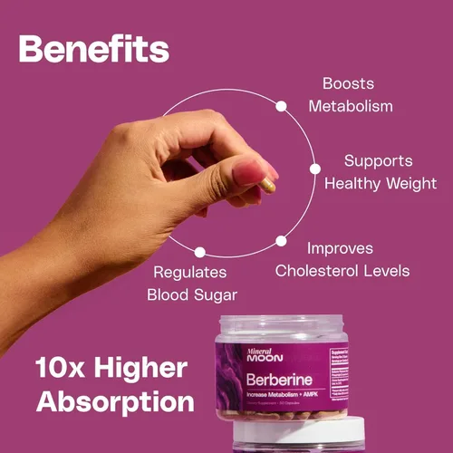 Vista 4 de Suplemento de berberina de primera calidad, composición corporal, 60 cápsulas - con Cissus Quadrangularis y fitosoma de berberina - Apoya