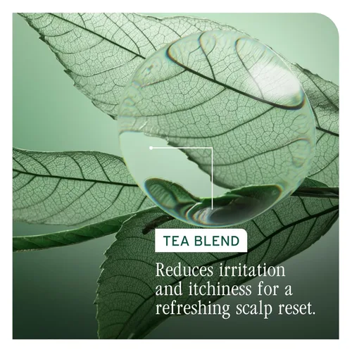 Vista 5 de Biolage Scalp Sync Anti-Dandruff Shampoo - Controls Itchy Scalp, Deeply Cleanses Hair, Moisturizing Dandruff Treatment, With Zinc Pyrithione, Vegan