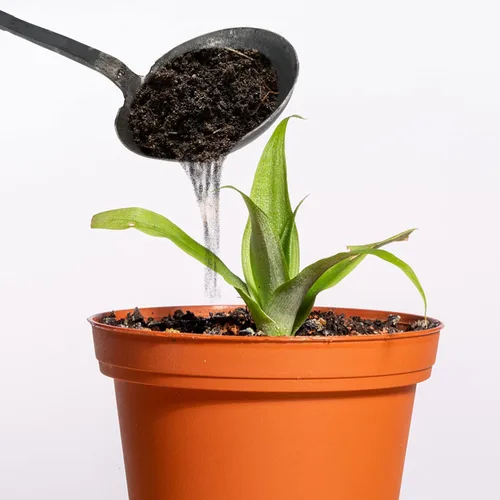 Vista 7 de Cuchara de hierro forjado de jardín Cuchara de acero de alto carbono para perros Comida para perros Bonsai Tierra Potting Scoop