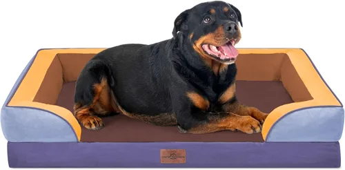 Vista 167 de Comfort Expression - Cama ortopédica para perros pequeños, 20 x 14 pulgadas, cama impermeable y de apoyo de espuma con cojines removibles, sofá