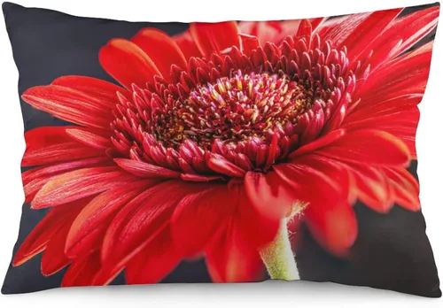 Vista 12 de Funda de almohada lumbar rosa con margaritas para exteriores, de 16 x 24 pulgadas, a la moda, con cremallera, diseño de impresión de doble cara