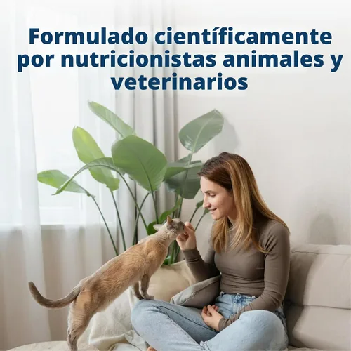 Vista 6 de Blue Buffalo Golosinas crujientes para gatos, bolsa de pollo de 2 onzas (paquete de 6)