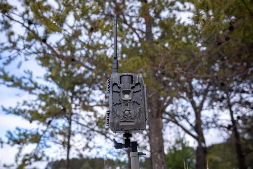 Vista 7 de Stealth Cam Deceptor Max 2.0 / Cámara celular de doble núcleo/40 MP / paquete de 2