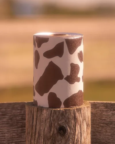 Vista 4 de FRAMAR Yeehaw - Lámina de pelo para resaltar cabello largo, lámina de salón para resaltar el cabello, kit de láminas de salón para resaltado