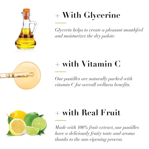 Vista 3 de Dr. Doolittle's Pastillas sin azúcar para voz y garganta, sabor a limón y lima, bolsa de tamaño de viaje, 0.33 onzas aproximadamente 4