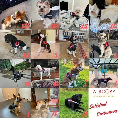 Vista 6 de ALBCORP Arnés de chaleco para perro de servicio – Arnés reflectante sin acción tirante con asa y cómodo acolchado de malla – Tallas XXS-XL