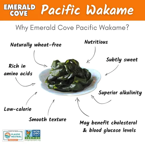 Vista 3 de Emerald Cove Silver Grade Wakame (algas marinas secas)
