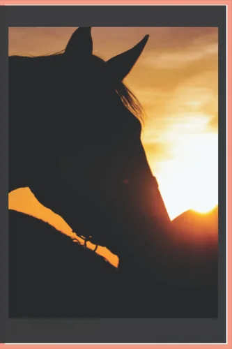 Paperage lined notebook horse journal, 240 pages, 6inches x 9inches
