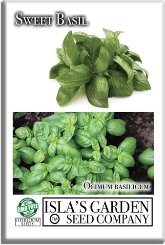 Sweet Basil Seeds (Ocimum basilicum) – 250+ Non-GMO & Heirloom Seeds by Isla’s Garden Seeds, Classic Aromatic Culinary Herb, Fast-Growing Variety,