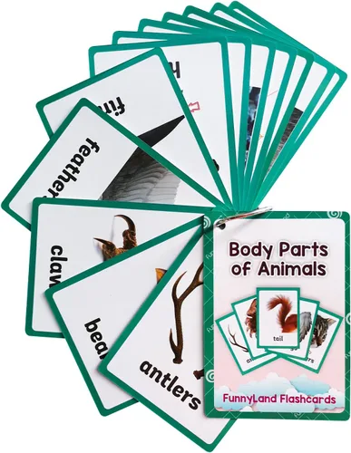 Vista 23 de Lilias Tarjetas flash – Tarjeta de bolsillo con palabras en inglés para niños pequeños, juguetes de aprendizaje, suministros para jardín