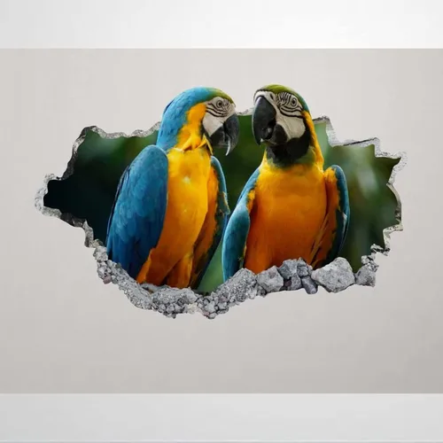 Parrots Wall Decal Art Decor 3D Smashed Bird Sticker Mural Poster Print Gift Custom Wall Stickers Mural Smashed Wall Art Poster removible