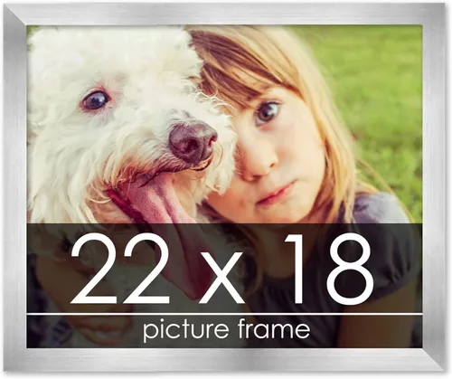 Vista 73 de Marco de madera de peltre plateado de 3 x 4 pulgadas, acrílico UV, respaldo de tablero de espuma y accesorios para colgar, marco de 3 x 4 pulgadas