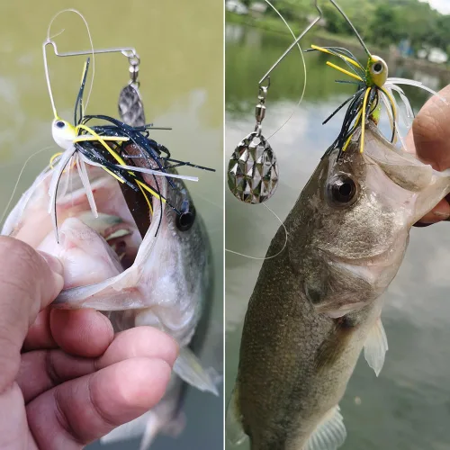 Vista 6 de XFISHMAN Mini Spinnerbaits para pesca de lubina, paquete de 6, cebo giratorio de Colorado, señuelos de pesca de agua superior, micro spinner