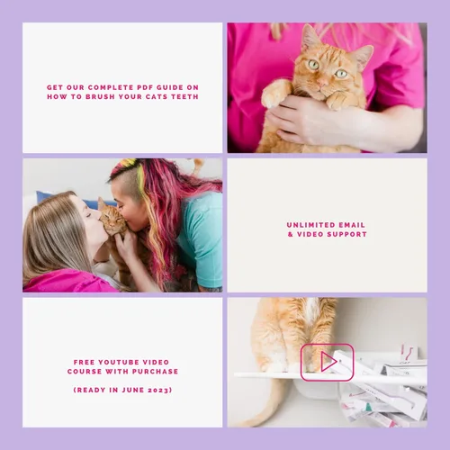 Vista 7 de RYERCAT Cepillo de dientes de doble cara para gatos, cepillo de dientes para gatito con micro cabeza para un ajuste personalizado, suministros