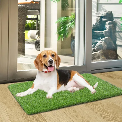 Vista 7 de Tapete de césped artificial para puerta delantera, césped para exteriores/interiores, alfombra de césped artificial realista para entrada, perro