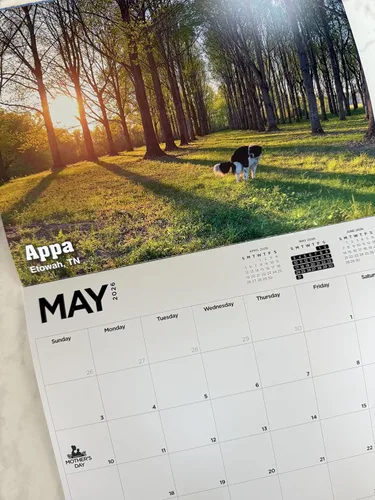 Vista 3 de Calendario de regalo de broma de elefante blanco Pooping Pooches