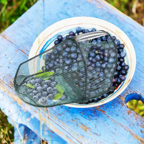 Vista 7 de DOITOOL Herramienta para recoger arándanos, recogedor de frutas, jaula de recolección de frutas, cesta de cosecha de frutas, equipo de frutas