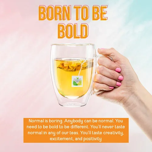 Vista 4 de Good Earth - Té de hierbas y negro, dulce y picante, 18 bolsas de té (paquete de 6) (el embalaje puede variar)