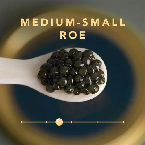 Vista 2 de Caviar de esturión siberiano de esturión - 3.5 oz / 100 g + regalo 1 oz / 28 g - Huevas negras de esturión ruso - Garantía de noche