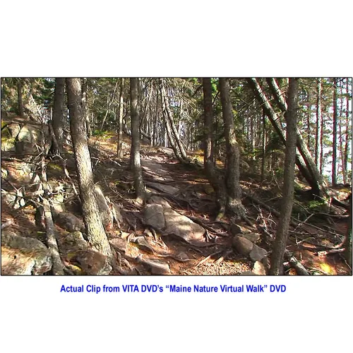 Vista 7 de Maine Nature Walk Treadmill Scenery DVD