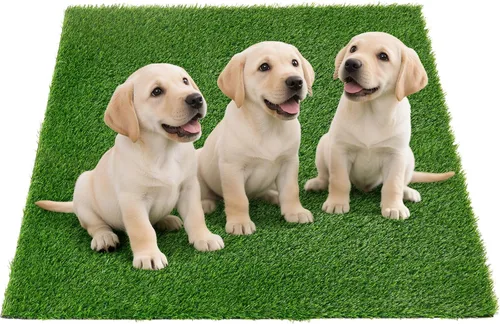 Vista 13 de Almohadilla de Hierba Artificial para Orinar para Perros, Almohadillas de Reemplazo de Hierba Falsa para Entrenamiento de Orinal para Mascotas