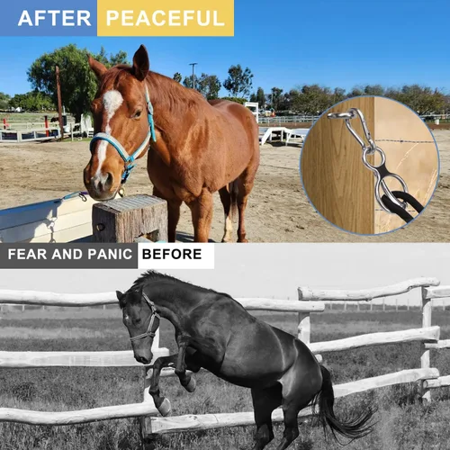 Vista 6 de Dayimado Anillo de amarre para caballos, anillo de amarre de acero inoxidable para caballos, suministros resistentes y seguros