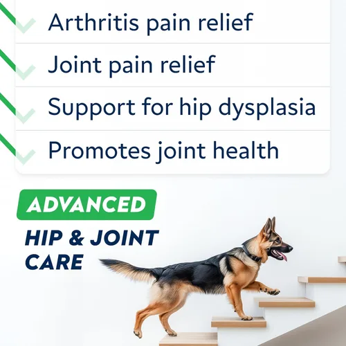 Vista 2 de STRELLALAB Advanced Glucosamine Hip & Joint Supplement for Senior Dogs - Green Lipped Mussel & Collagen - Hip & Joint Pain Relief - Large & Small