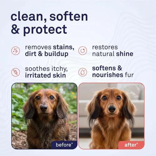 Vista 2 de Petpost Champú de argán para perros. Champú para perros con aceite de argán y aloe. Hidrata la piel seca, suaviza el pelaje, restaura el brillo. 8