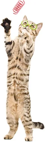 Vista 7 de Tamu style Cat Spring Toys (60 Pack), Playful Coils for Kittens, BPA Free Plastic for Swatting, Biting, Hunting, and Active Healthy Play, Colorful 2